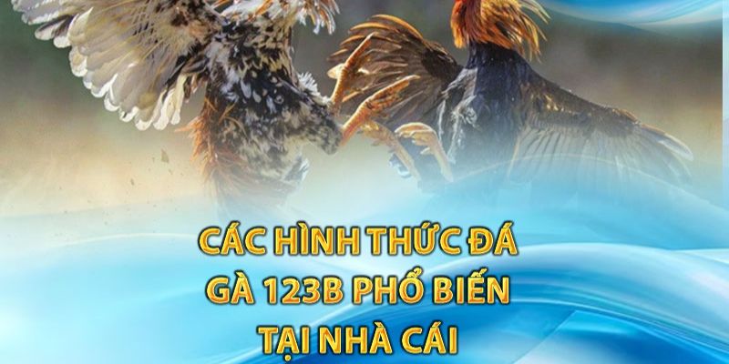 Hình thức đá gà kịch tính nhà cái 123B cung cấp